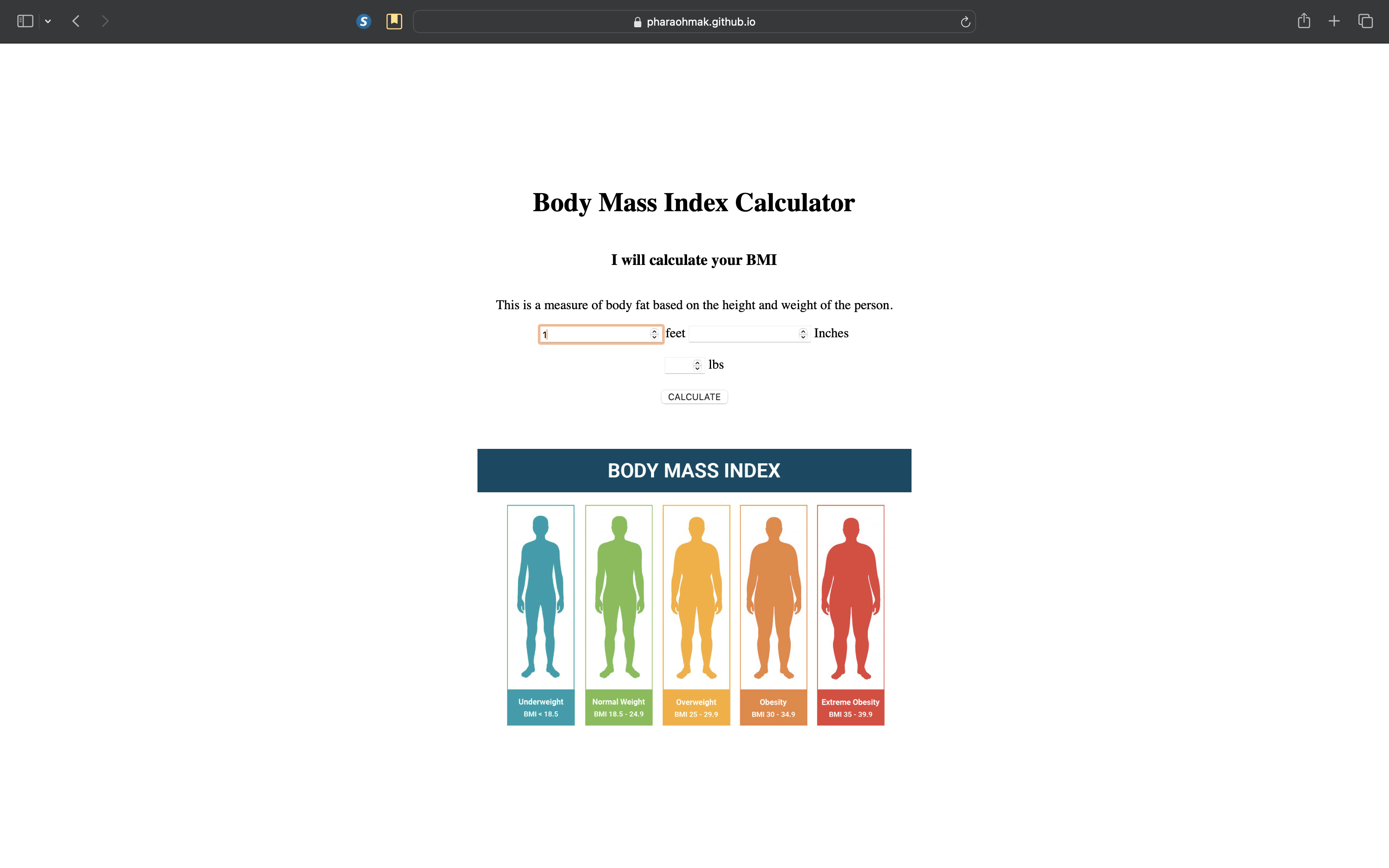 3 Body Mass Index Calculator